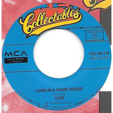 Single 45: Cher ‎– Living In A House Divided / Don't Hide Your Love