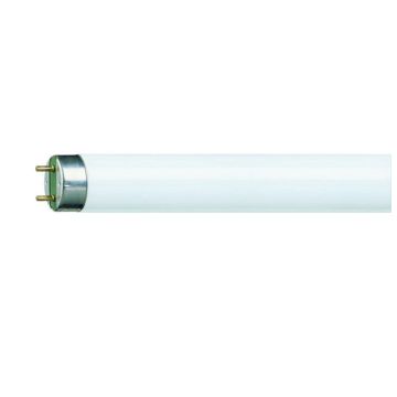 Fluorescent tube 18 watt T8 color 840 24 inch / 59 cm (Cool White)